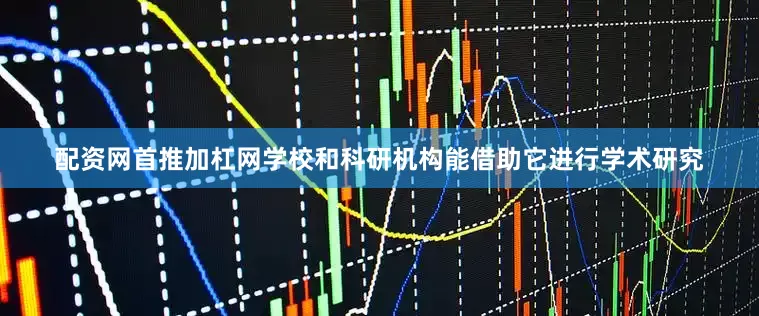 配资网首推加杠网学校和科研机构能借助它进行学术研究