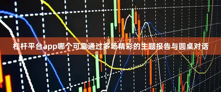 杠杆平台app哪个可靠通过多场精彩的主题报告与圆桌对话