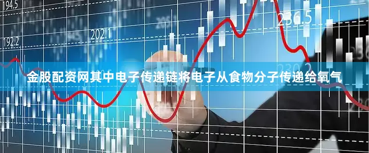 金股配资网其中电子传递链将电子从食物分子传递给氧气