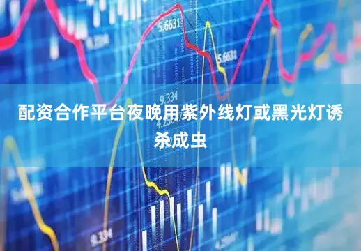 配资合作平台夜晚用紫外线灯或黑光灯诱杀成虫